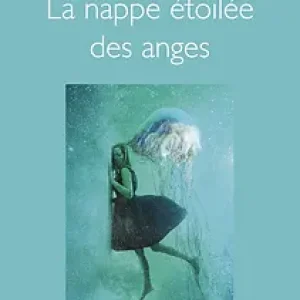 la-nappe-etoilee-des-anges